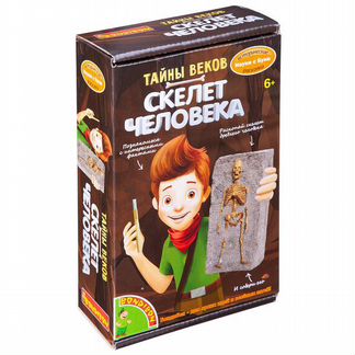 Исторические раскопки Bondibon Науки с Буки, Тайны веков, Скелет человека (вв4790)