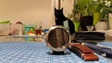 Часы Garmin Fenix Chronos