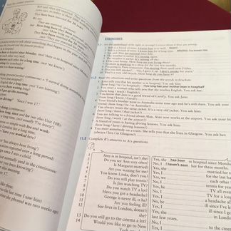 English grammar in use raymond murphy синий