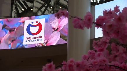 Оформление медиафасадов, видеовитрин, экранов меню